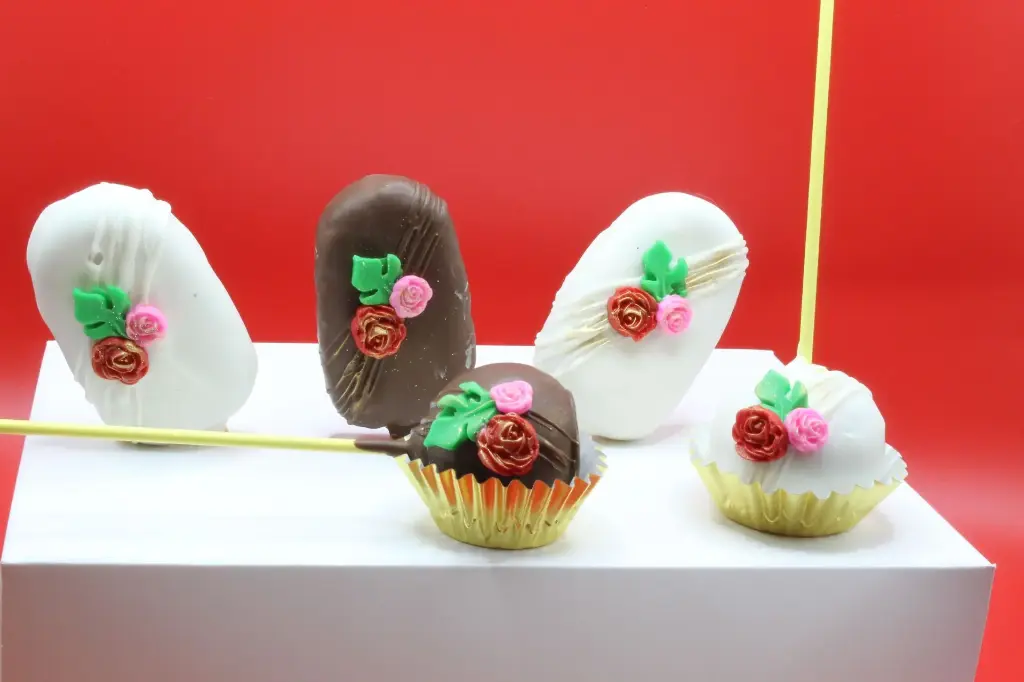 CAKESICLES CHOCOLATE